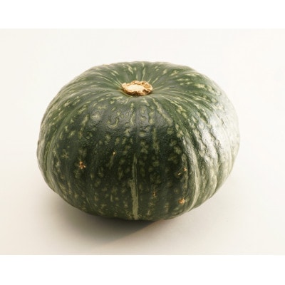 かぼちゃ　5kg