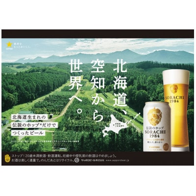 【のし付】伝説のホップ　SORACHI 1984　350ml　12本入り×2セット(24本入り)