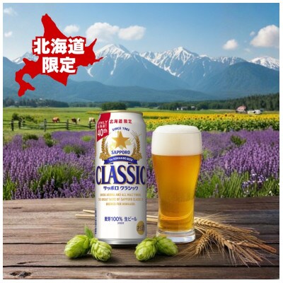【毎月定期便】サッポロ クラシック 500ml×24本入り全2回