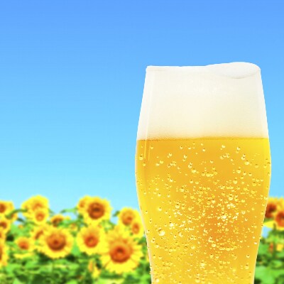 生ホップの衝撃 サッポロクラシック富良野ビンテージ2021 350ml 24本 11月発送 お礼品詳細 ふるさと納税なら さとふる