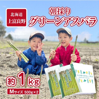 【2025年発送】アスパラ専門農家の朝採りグリーンアスパラ　約1kg(Mサイズ)