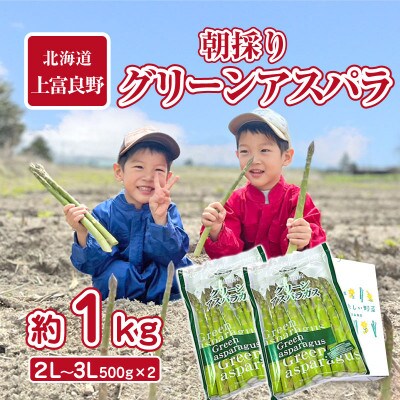 2025年発送　アスパラ専門農家の朝採りグリーンアスパラ　約1kg(2L～3L)