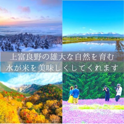 【毎月定期便】大雪山の伏流水で育った特Aランクの「ななつぼし」玄米 (10kg×1)　全3回