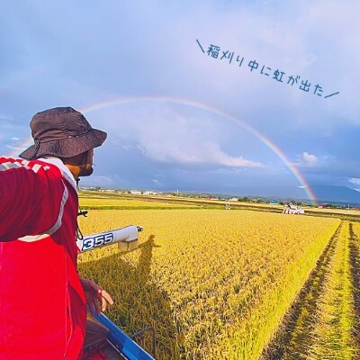 2022年1月発送開始『定期便』特Aランクの「ななつぼし」精米 (5kg×1)全6回