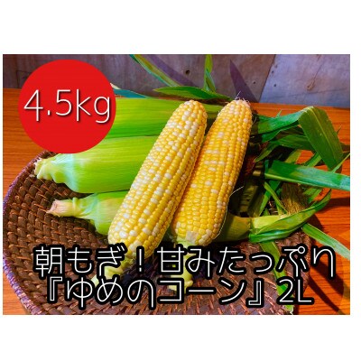 【2022年8月から発送】JGAP認証農場 朝もぎスイートコーン『ゆめのコーン』2L 約4.5kg