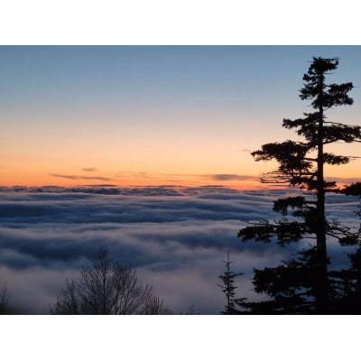 湯元凌雲閣【1泊2食付】宿泊券 ホテル 旅館 北海道 上富良野町 十勝岳