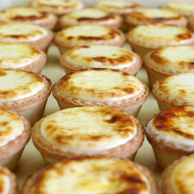峠のチーズタルト・ハスカップ 8個入り