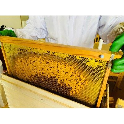 FURANO HONEY AUGUST(8月)　3個セット【2022年9月中旬より発送】