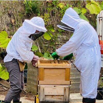 FURANO HONEY  GIFT 5個セット【2022年10月中旬より発送】