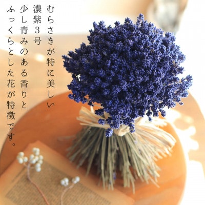 富良野ラベンダースタンドブーケ (濃紫3号)/ 上富良野産ラベンダー