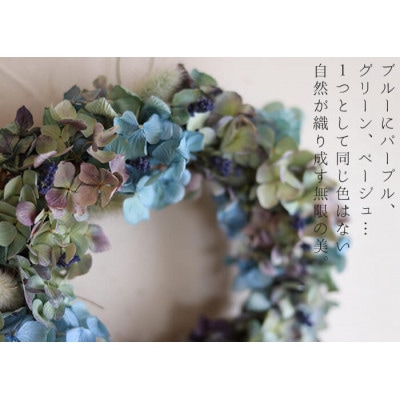 あじさいのリース/ドライフラワー