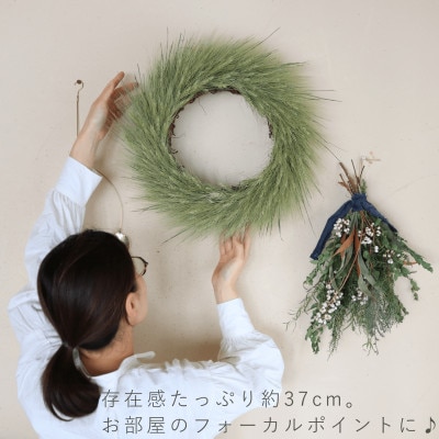 富良野花七曜 北海道ハルユタカ麦のリース 約直径40cm 麦だけの素朴で ナチュラル 大きいリース