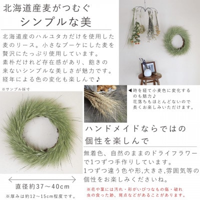 富良野花七曜 北海道ハルユタカ麦のリース 約直径40cm 麦だけの素朴で ナチュラル 大きいリース