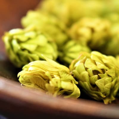 北海道の旨いビールを　サッポロクラシック　350ml　1箱