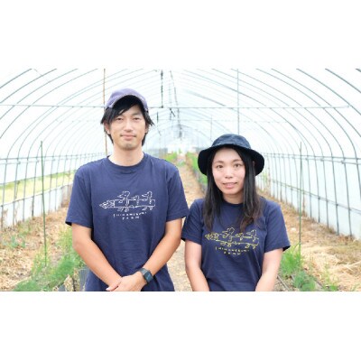 【2023年4月以降発送!】北海道上富良野産アスパラガス2L・Lサイズ　900g