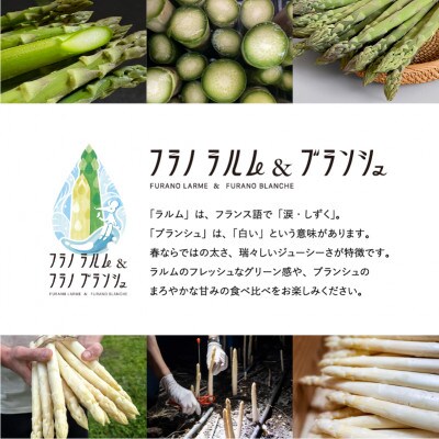 食べ比べ♩北海道上富良野産ホワイト&グリーンアスパラ2Lサイズ800g