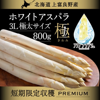 【2026年5月以降発送!】北海道上富良野産ホワイトアスパラガス3Lサイズ 800g