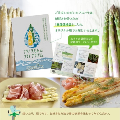 【2026年5月以降発送!】北海道上富良野産ホワイトアスパラガス3Lサイズ 800g