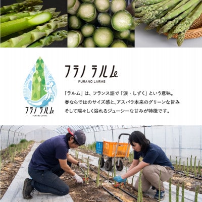 【2026年4月より順次発送予定】北海道上富良野産 アスパラガス3Lサイズ 400g
