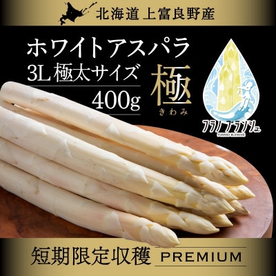 【2026年発送】北海道 上富良野産 ホワイトアスパラガス3Lサイズ 400g