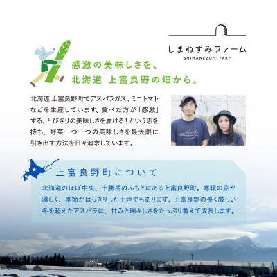 【2026年発送】北海道 上富良野産 ホワイトアスパラガス 2L サイズ 400g