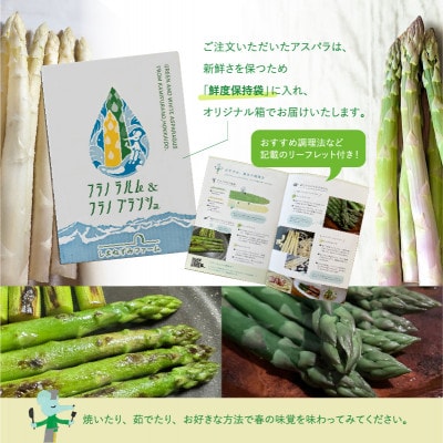 【先行予約】北海道 上富良野産 アスパラガス 2L サイズ 800g フラノラルム