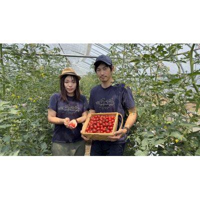 【北海道上富良野町】【2025ヴィンテージ】フラノルージュの完熟ジュース 3本セット