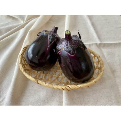 【北海道上富良野町】【すずきが育てた新商品!】すずきの水なす【プリっとした歯応えと瑞々しい】1kg