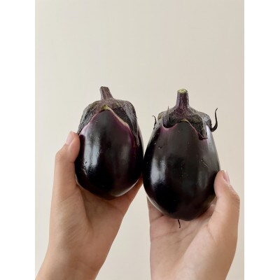 【北海道上富良野町】【すずきが育てた新商品!】すずきの水なす【プリっとした歯応えと瑞々しい】1kg