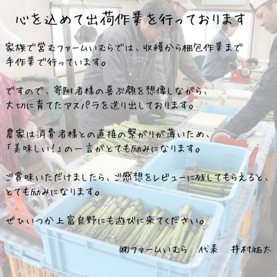 【2026年4月発送予定】 北海道上富良野産 グリーンアスパラガス 太くて美味しい2Lサイズ 1kg