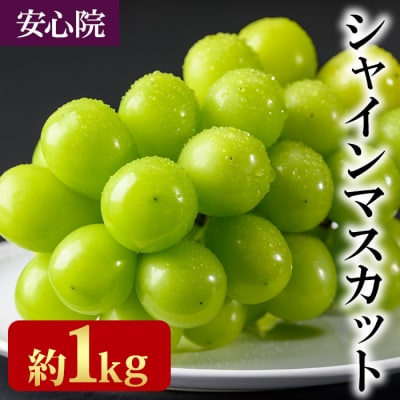 <2026年発送>シャインマスカット1kg【106300101】【大分県農協北部エリア】