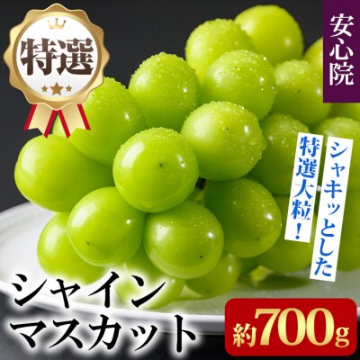 <2026年発送>特選シャインマスカット700g【106300201】【大分県農協北部エリア】