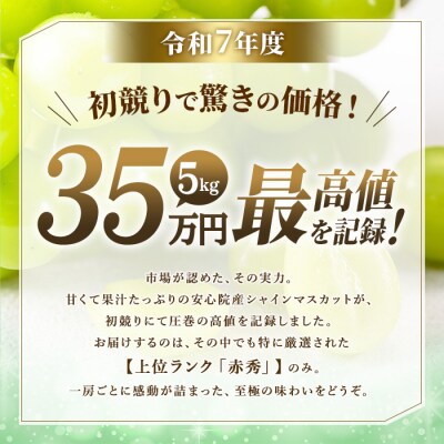 <2026年発送>特選シャインマスカット700g【106300201】【大分県農協北部エリア】