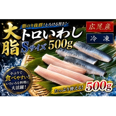 大トロいわし　フィレ　Sサイズ　500g【ハラール認証済み】(AM0006)