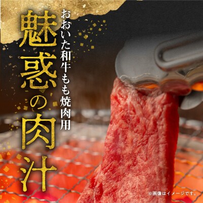 【お中元ギフト】おおいた和牛もも焼肉用 約600g≪7/1～8/9の期間に発送≫_A01121-S