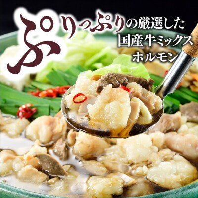 工場直販.得用もつ鍋(醤油)8～10人前【もつ鍋・醤油味】.AC360