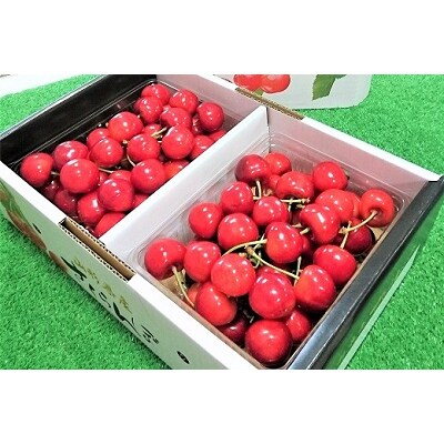 さくらんぼ(紅秀峰)1kg　秀品　2Lサイズ　0096-2601