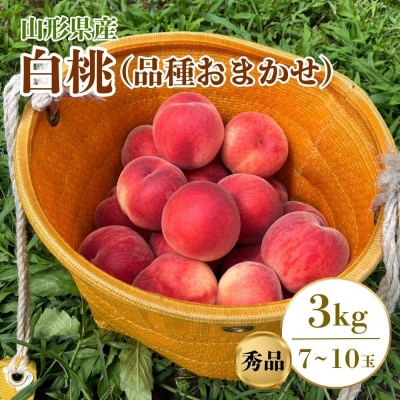 白桃(品種おまかせ)3kg　0096-2602