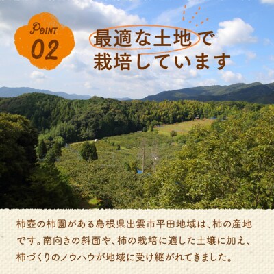 【柿専業の農家が作る】出雲産西条柿の干し柿【1_2-059】