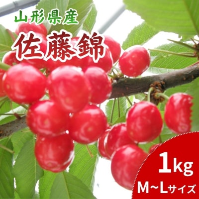 さくらんぼ(佐藤錦)1kg　0113-2601