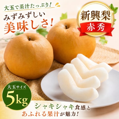 新興梨(赤秀) 5kg