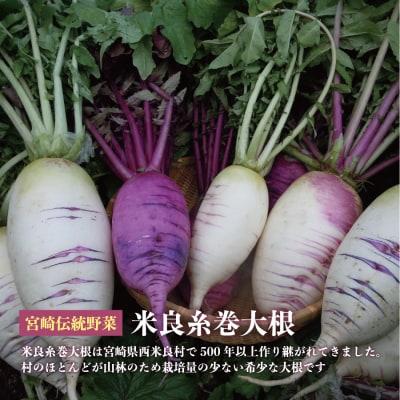 【ふるさと納税】米良糸巻大根 切り干し 20g×7袋セット 伝統野菜 切り干し九州 宮崎県 西米良村
