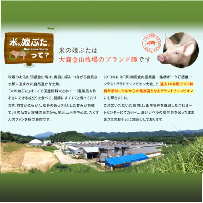 米の娘ぶたカレー 180g×6袋 豚肉 ブランド豚 高級 冷凍 レトルト 小分け F4B-0823