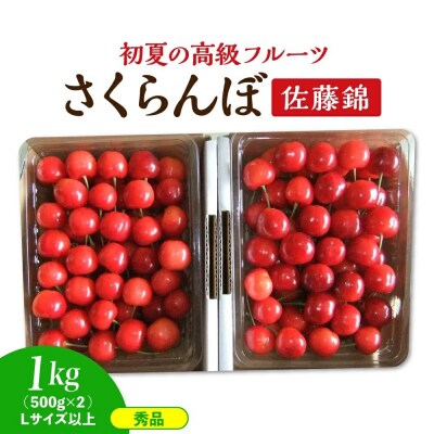 さくらんぼ(佐藤錦)500g×2パック　0112-2614