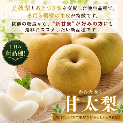 プレミアム甘太梨5kg