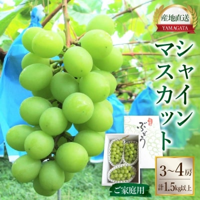 ぶどう(シャインマスカット)1.5kg　ご家庭用　0085-2602