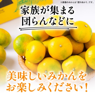 【先行予約】 季節のみかん5kg 【2026年9月下旬より順次発送】_065-4728-E