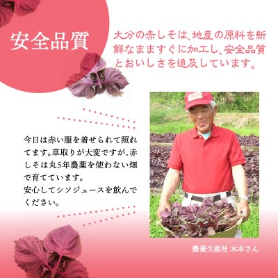 【お中元ギフト】 赤しそジュース 3種類 各1本 ≪7/1～8/9の期間に発送≫_F10040-S