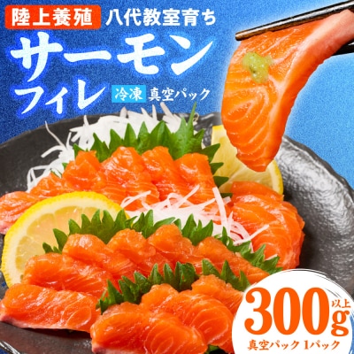 八代 教室育ちサーモン フィレ300g以上_295-6807