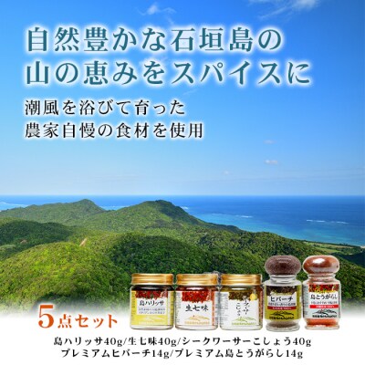 UY-1 石垣島海のもの山のものスパイス&オリジナル詰め合わせセットA